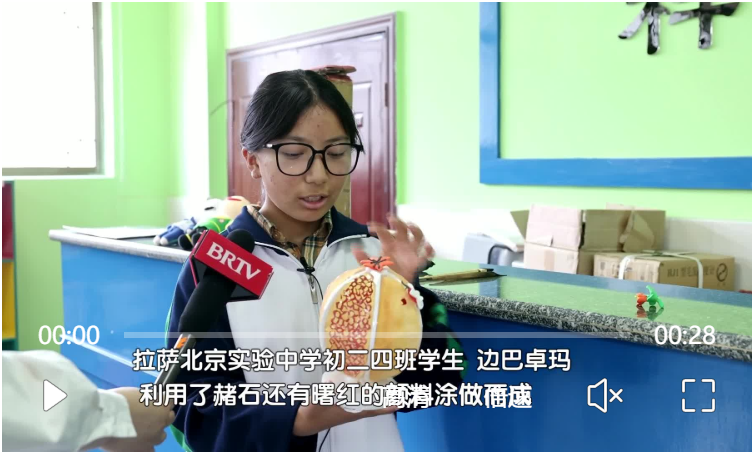 藏族學(xué)生自制3D打印石榴燈 聽了寓意想“淚目”